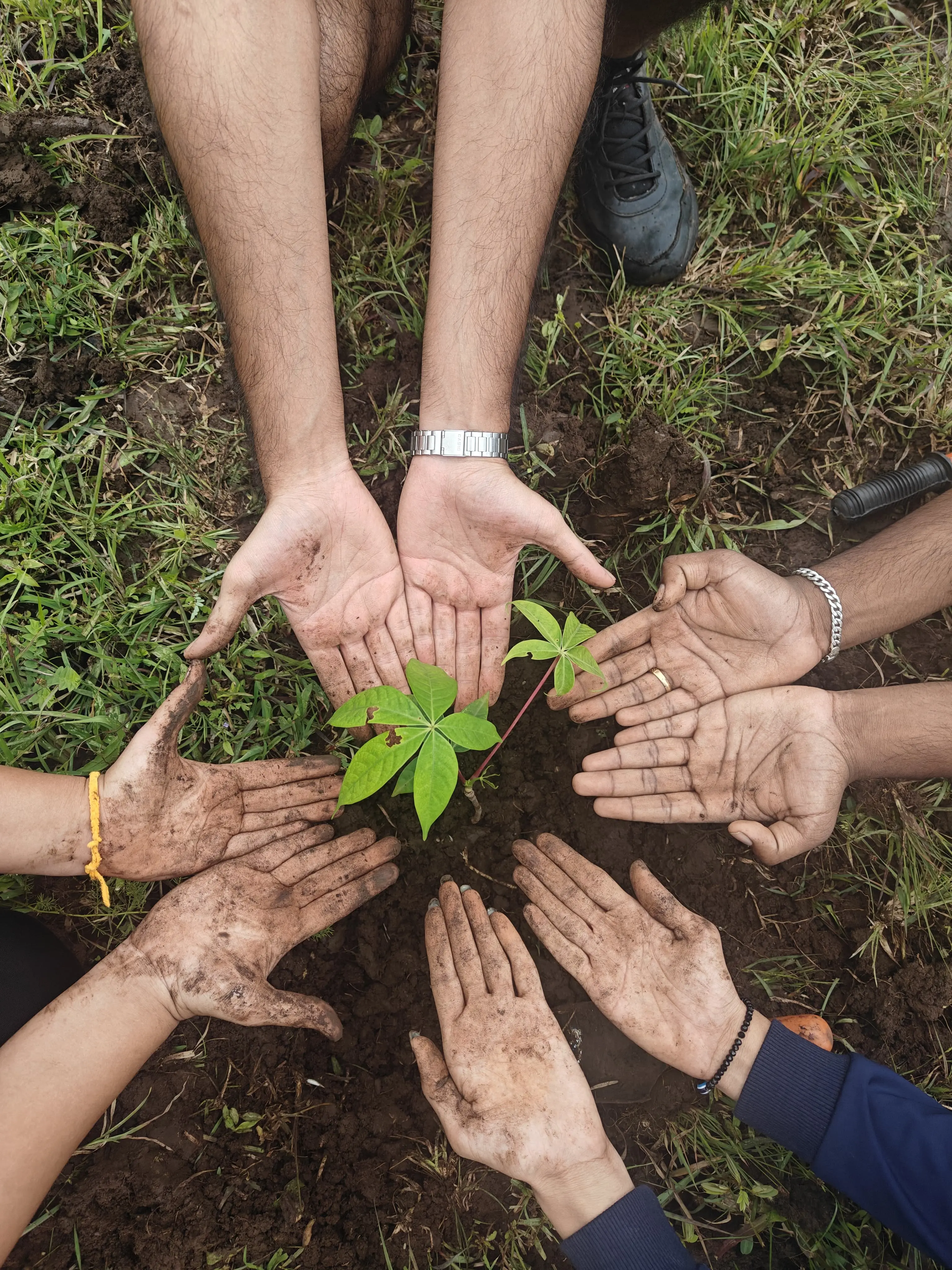 plantation drives cleanliness paperbag environment conservation